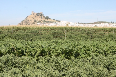  Una vista del Huerto de Productos Naturales