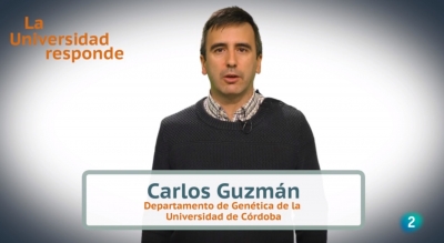 El investigador Carlos Guzmán durante el programa 'La Universidad Responde'