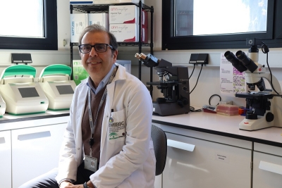 El investigador Manuel Tena-Sempere, en su laboratorio ubicado en el IMIBIC. 
