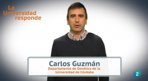 El investigador Carlos Guzmán durante el programa &#039;La Universidad Responde&#039;