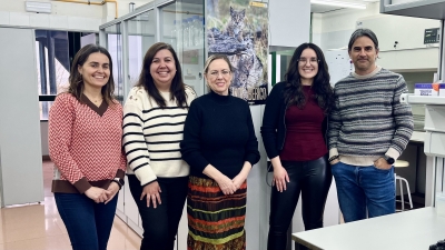 Researcher team